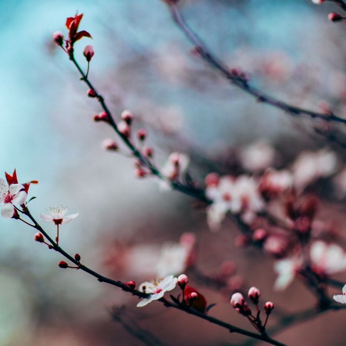 Ημερήσιες Προβλέψεις για όλα τα ζώδια, 05/4