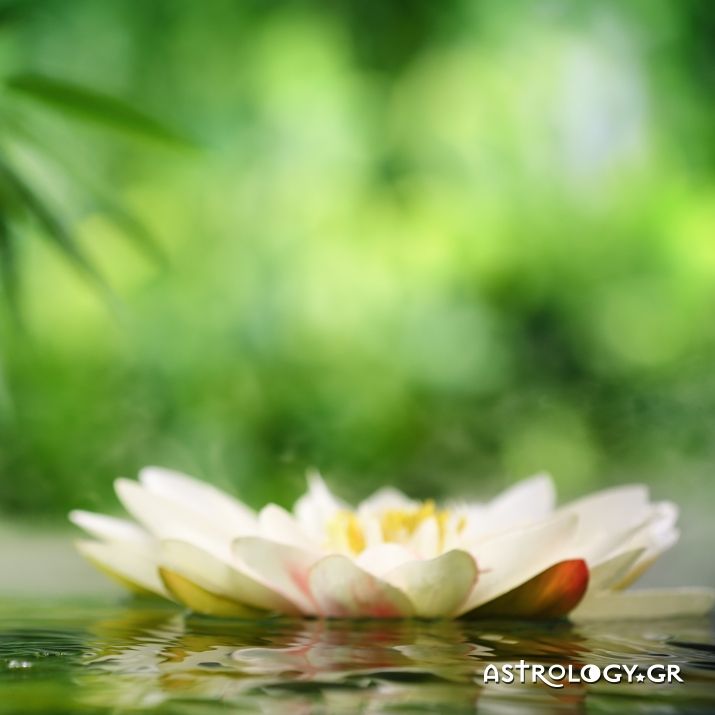 Ημερήσιες προβλέψεις για όλα τα ζώδια 7/6