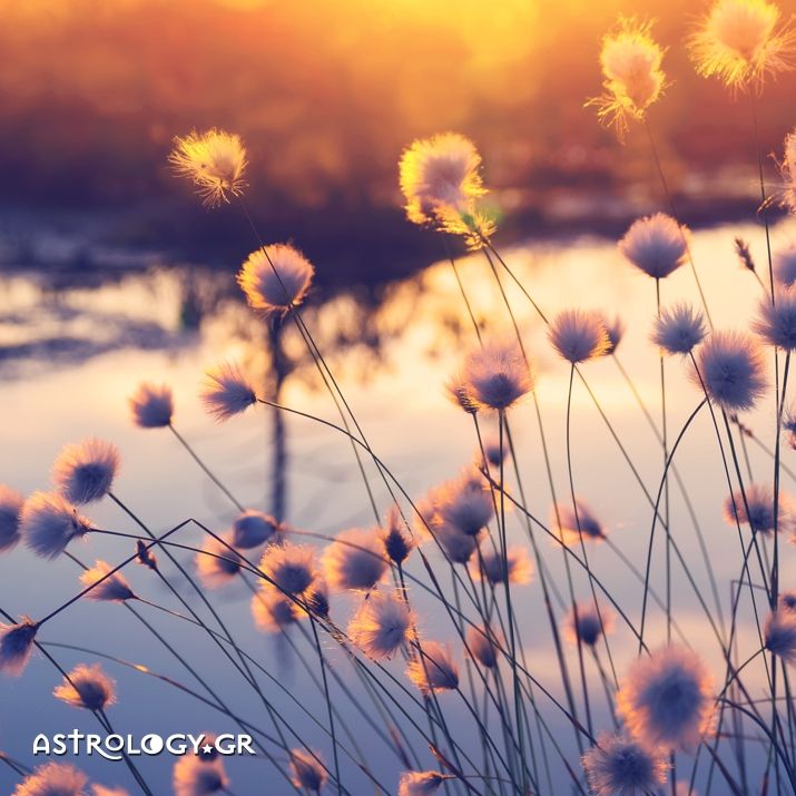 Διάβασε τις Ημερήσιες Προβλέψεις του ζωδίου σου, από τον Γιάννη Ριζόπουλο