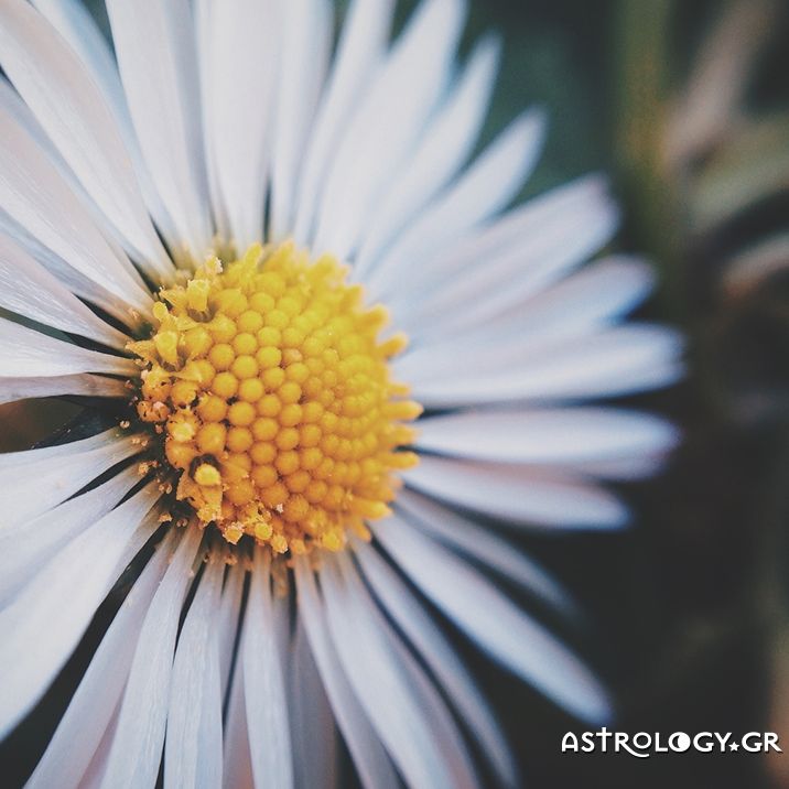 Ημερήσιες προβλέψεις για όλα τα ζώδια, 13/4