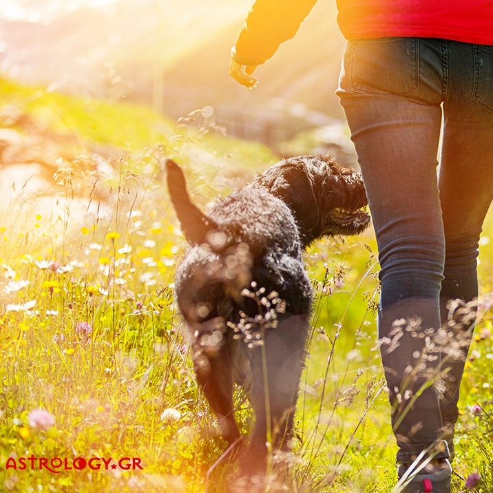 Ημερήσιες προβλέψεις για όλα τα ζώδια, 17/5
