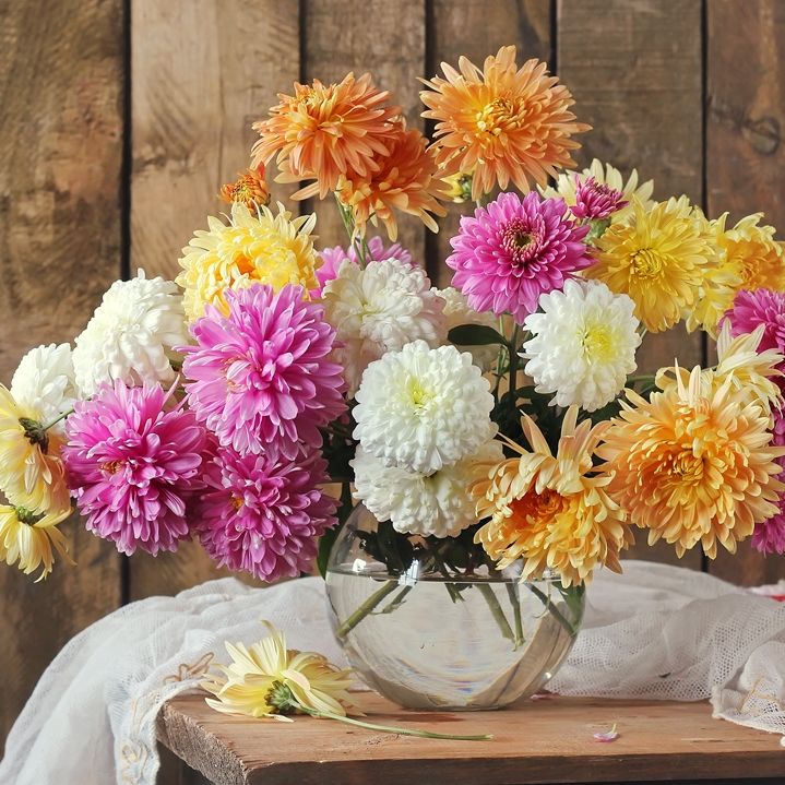 Ημερήσιες Προβλέψεις για όλα τα ζώδια, 27/3