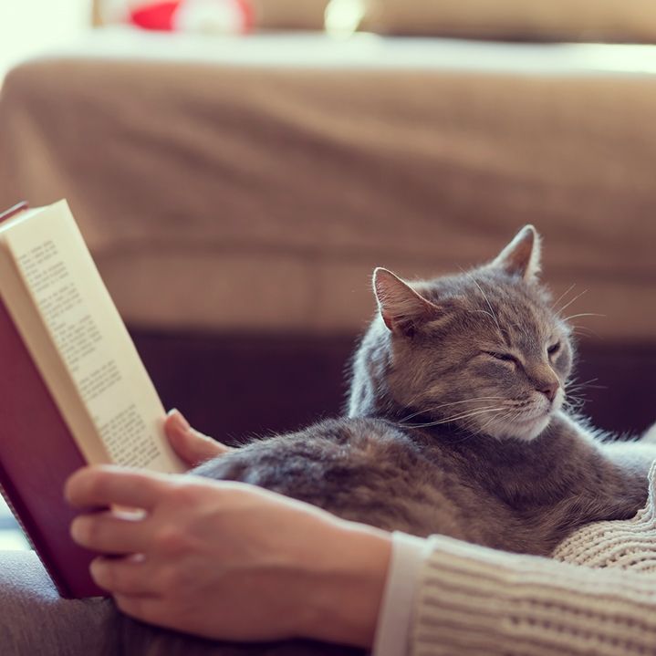 Ημερήσιες Προβλέψεις για όλα τα ζώδια, 28/3