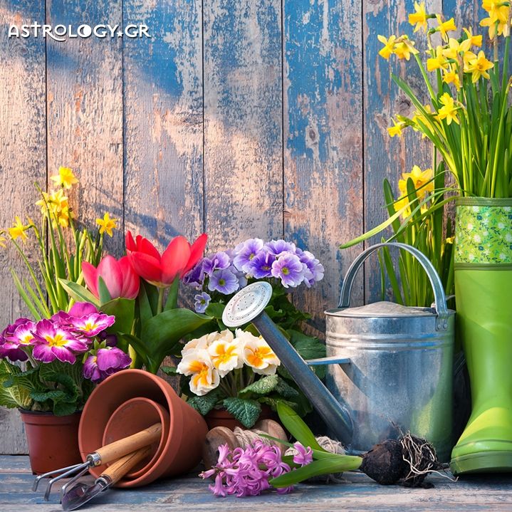 Ημερήσιες Προβλέψεις για όλα τα ζώδια, 11/4