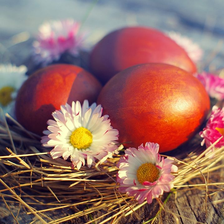 Ημερήσιες Προβλέψεις για όλα τα ζώδια, 16/4