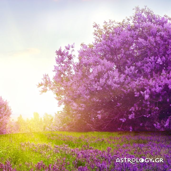 Ημερήσιες Προβλέψεις για όλα τα ζώδια, 6/5