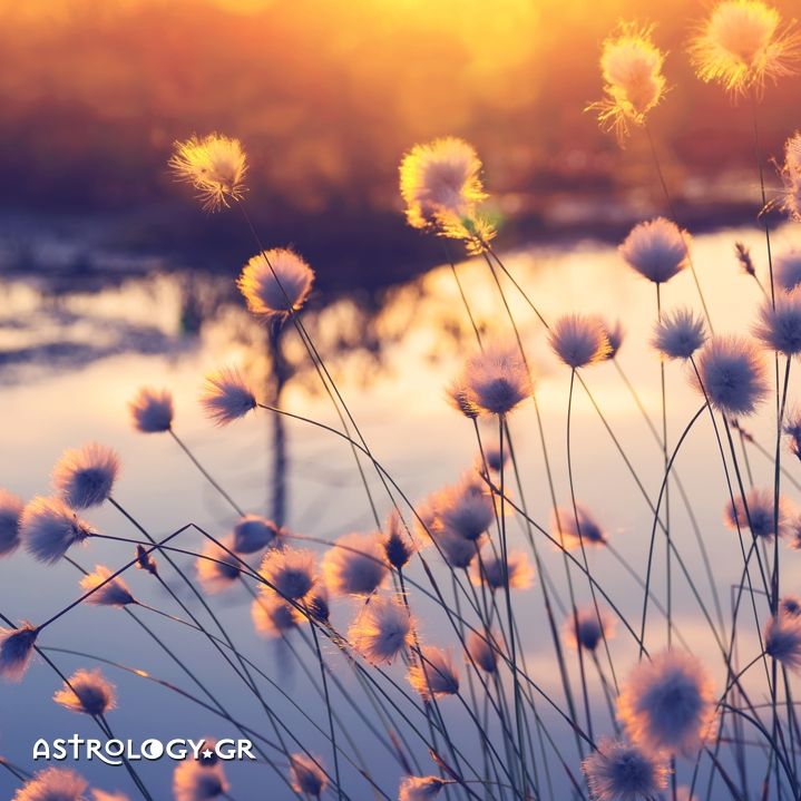 Ημερήσιες προβλέψεις για όλα τα ζώδια, 7/7