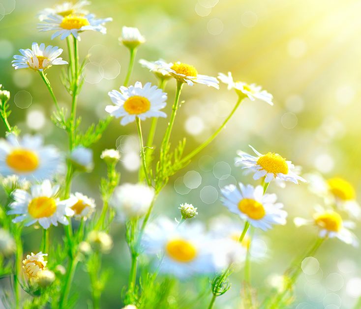 Διάβασε ΔΩΡΕΑΝ την προσωπική σου πρόβλεψη, για σήμερα 23/04/2020