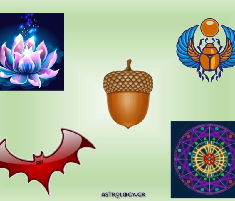 share-image