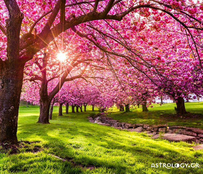 share-image