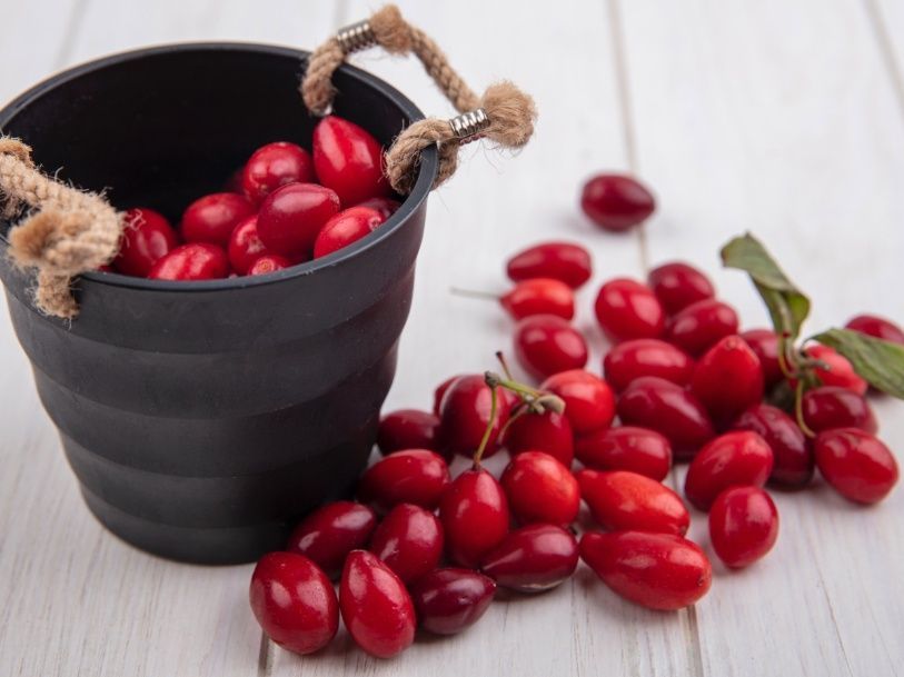 Summer mood χωρίς απρόοπτα: To «μυστικό» που θα σε κρατήσεις μακριά από τις ουρολοιμώξεις