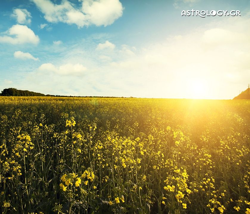 Ημερήσιες προβλέψεις για όλα τα ζώδια, 7/9