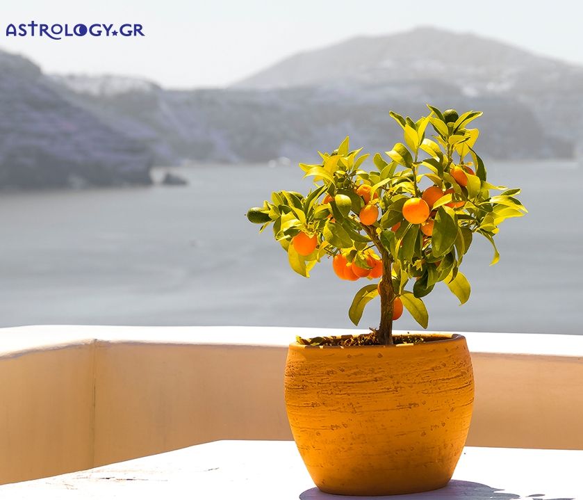 Ημερήσιες προβλέψεις για όλα τα ζώδια, 18/9