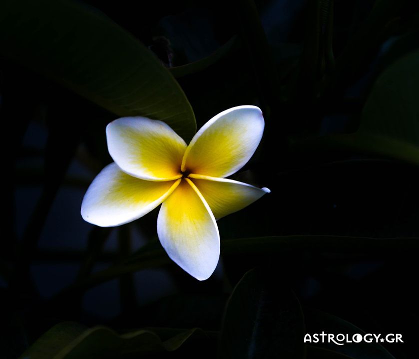 Ημερήσιες προβλέψεις για όλα τα ζώδια, 8/10