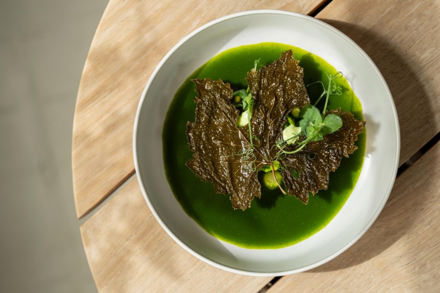 Lure_Dolma.jpg