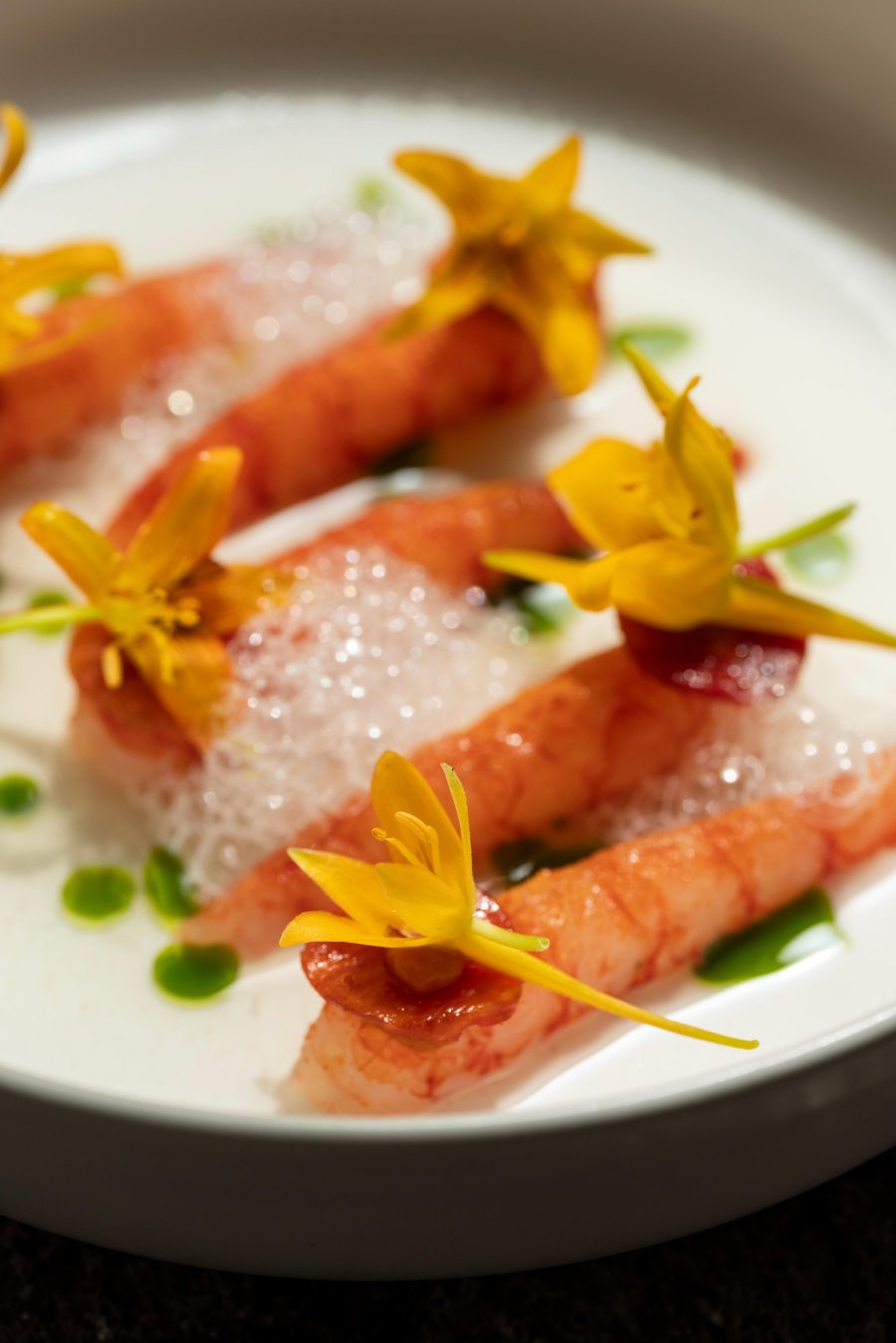 Lure_Refreshing-Saganaki.jpg