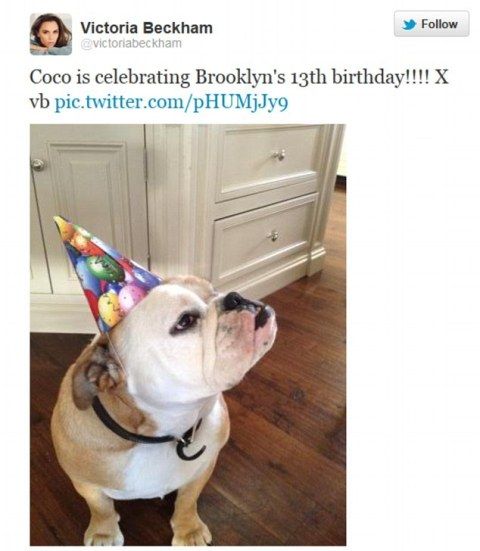 article-2110275-1207FA61000005DC-780_634x754