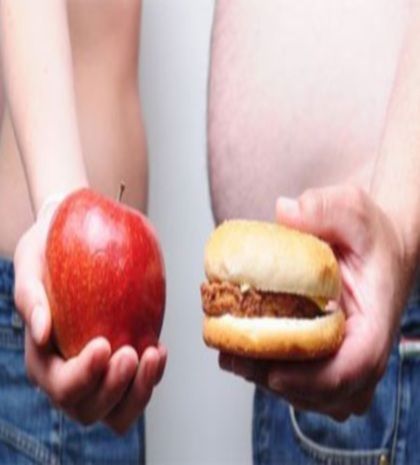 paxysarkia_535638014