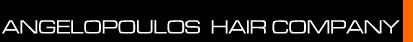 logo_angelopoulos