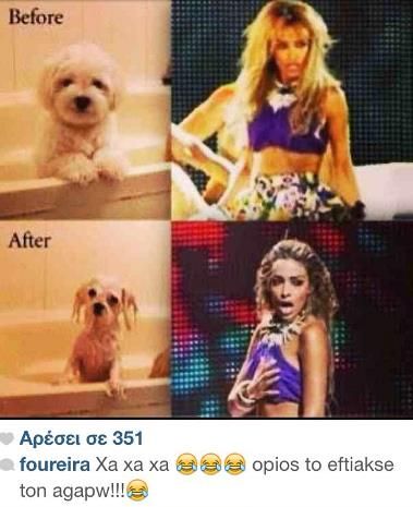 1011860 10201657087892713 1985010249 n