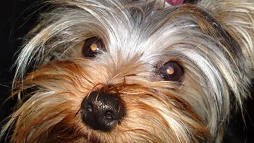 305827 2549223973630 1662568795 n