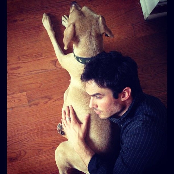 aa2b3fde2bdd11e3a2c122000a1f9d4d7-1380813839