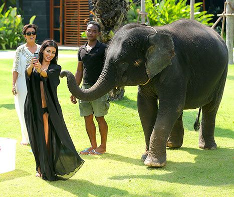 kim-kardashian-elephant-article