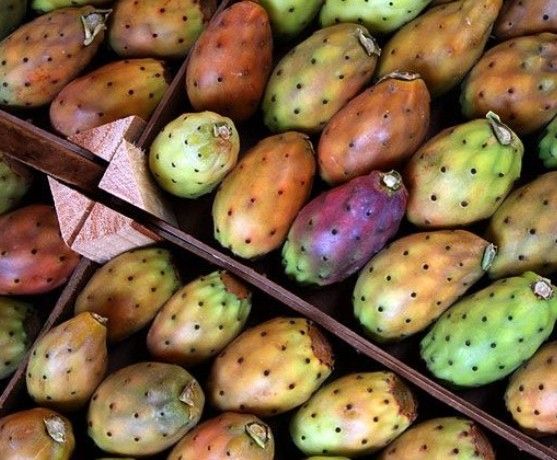 c531793d60299b1f7b3b6b07a6bdc329