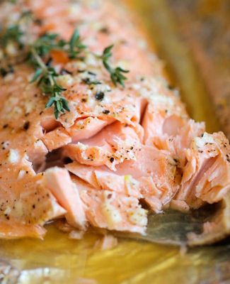 salmon