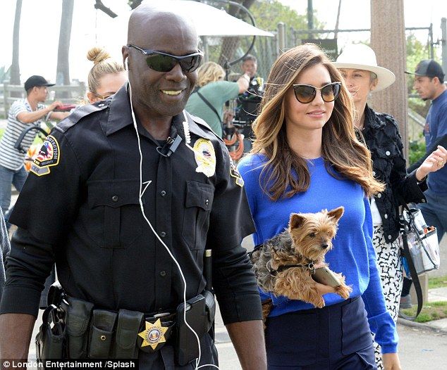 2561FCEA00000578-0-image-a-54 1423197507090