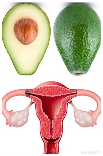 αβοκαντο 92dc8