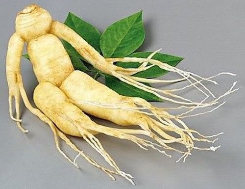 ginseng 1-1000x1000 21e5b