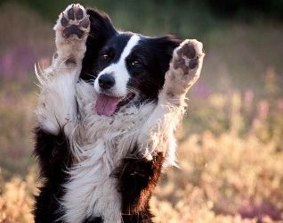 b76cs8dz54ee164a45b82175293387 58574