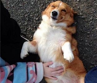 jr6k7r8754ee15382670e423212390 5cd0f