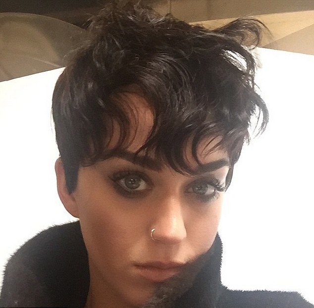 27336AA500000578-0-image-a-26 1427906768978 5d172