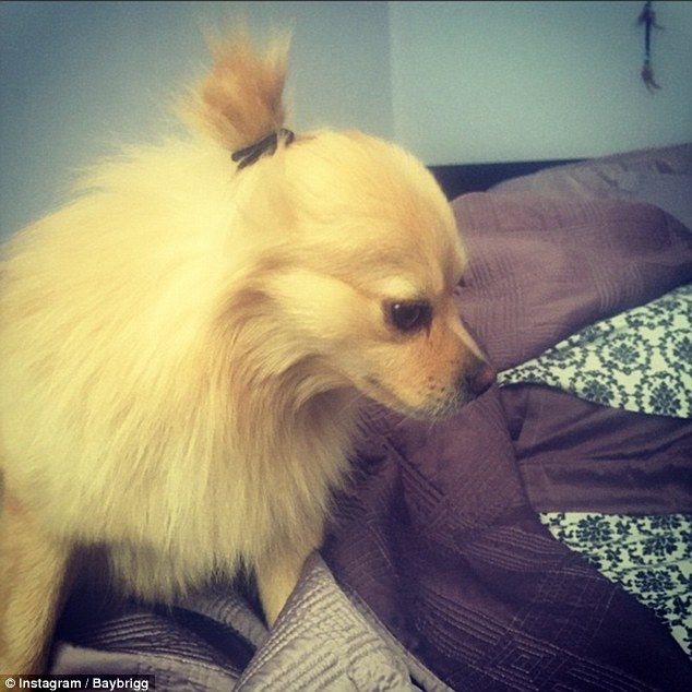 270D78B700000578-0-image-m-83 1427490300461 a9c9d