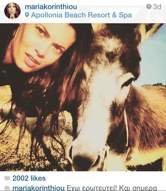 11216374 888865971155005 423907507 n 16219