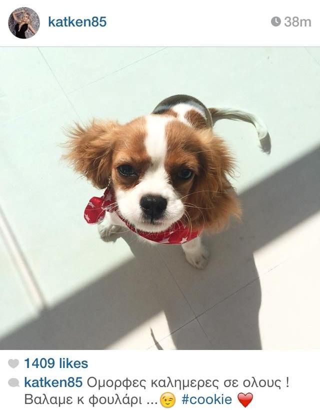 11225826 889594134415522 1547171225 n 29d79