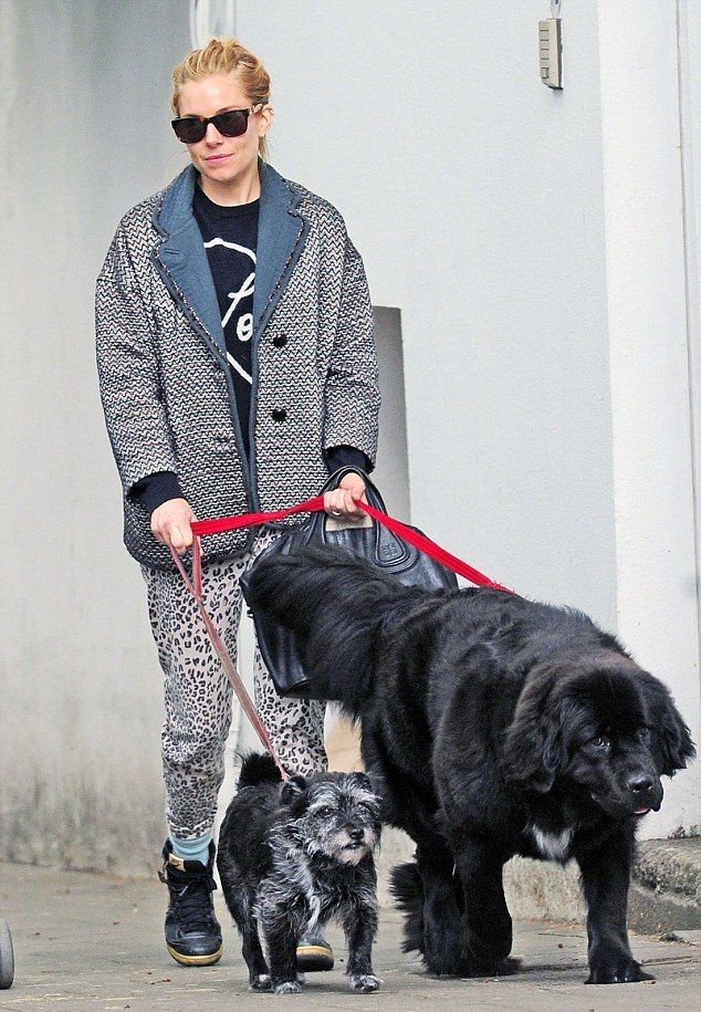 2880CABA00000578-0-image-a-23 1431214691039 945ff