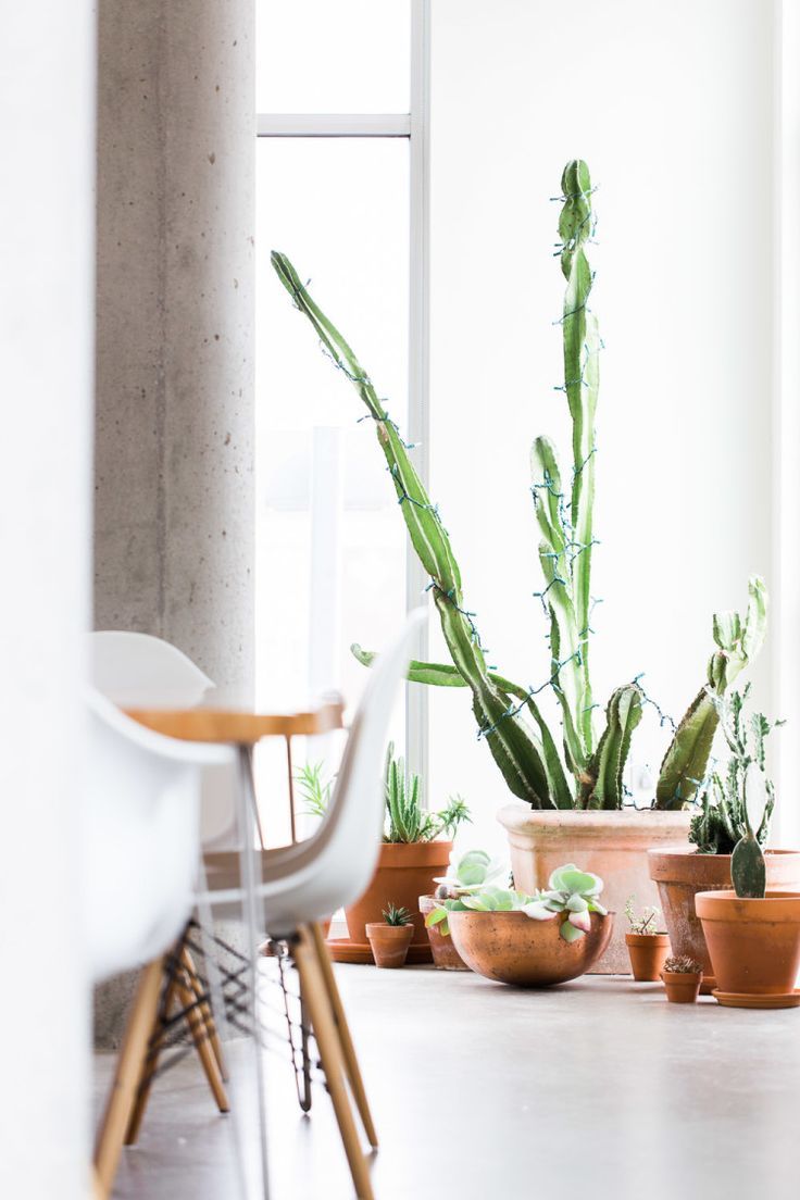 c3ae5b1749d281e765e9388bb1dcbb3c 961bc