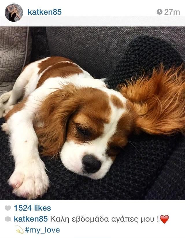 11328784 906025642772371 866757093 n 821db