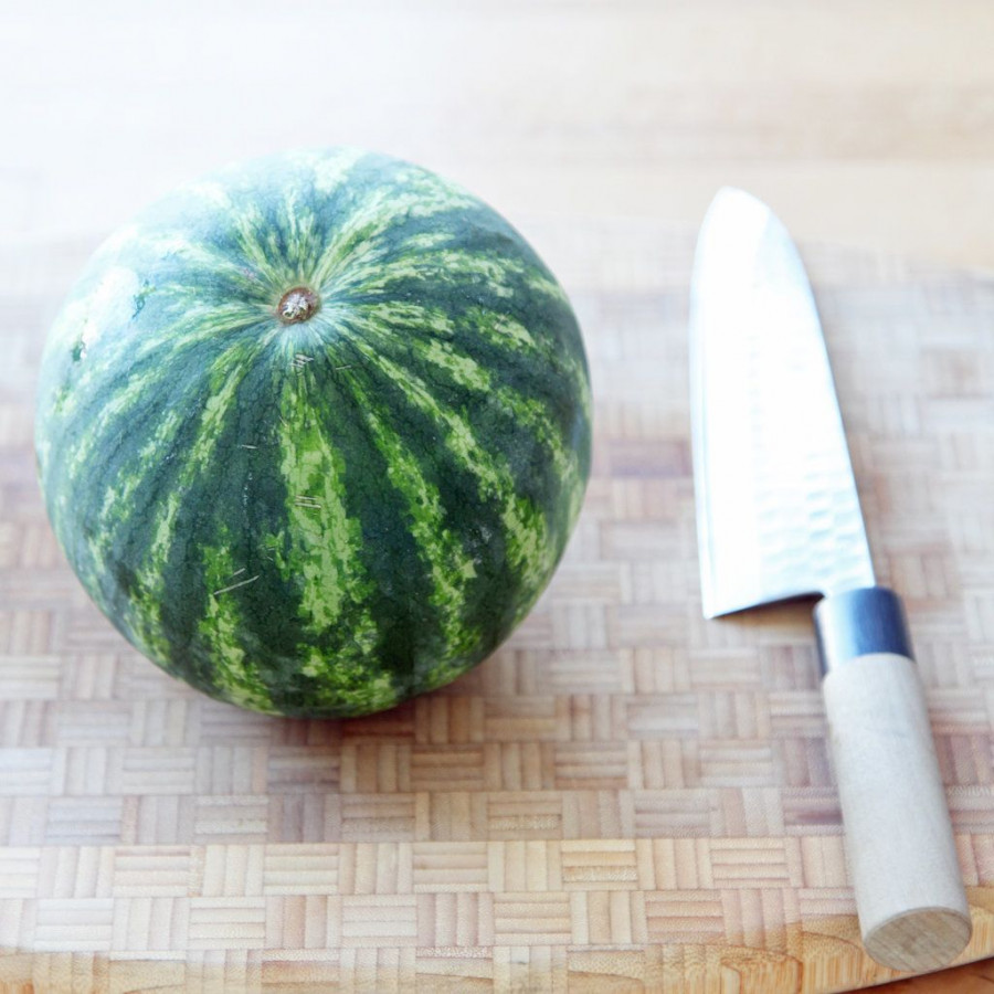 Wash-Watermelon 97302