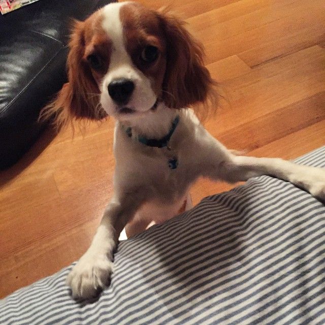 11376464 1647937778757920 626303439 n 1486d