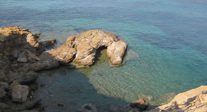 cimage f6a3d88488-thumbb a50aa