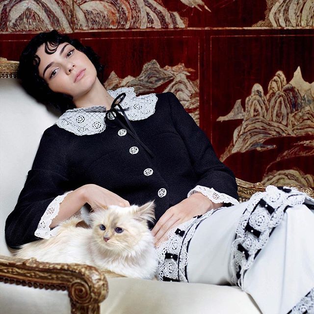 kendall-choupette c99e9