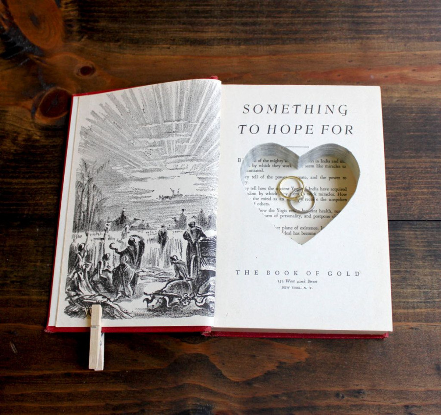 Book-Ring-Pillows 94299