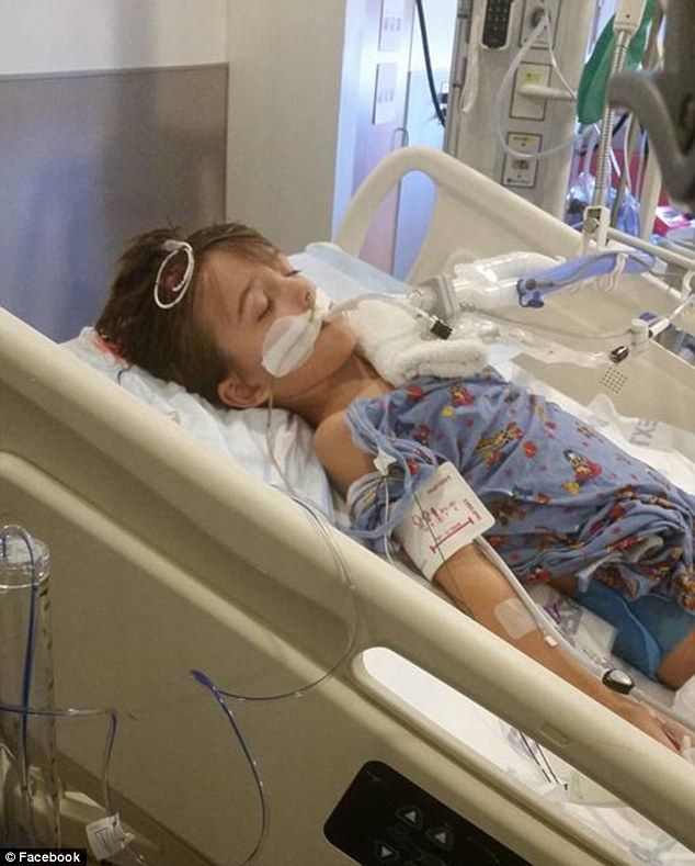 2CE7F81700000578-0-image-m-40 1443549484773 e3f96