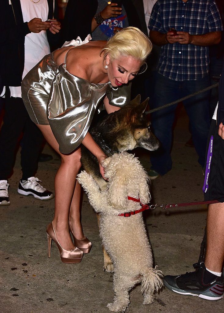 Lady-Gaga-NYC-Mom-October-2015 3 db3a8