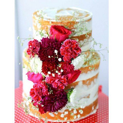 gamilia tourta5 340ca