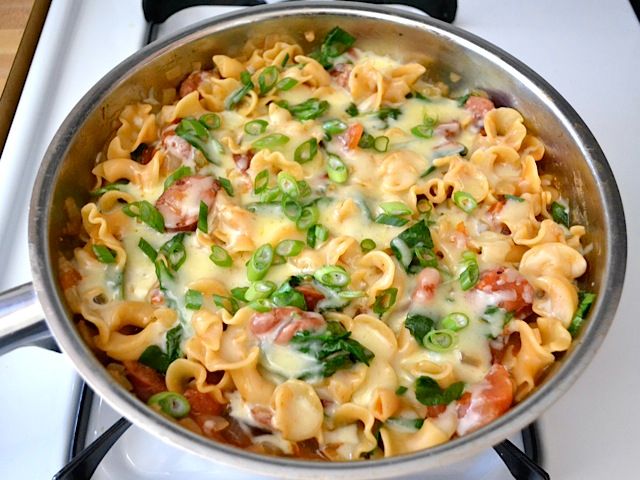 9 5 melted cheese onions 31e05